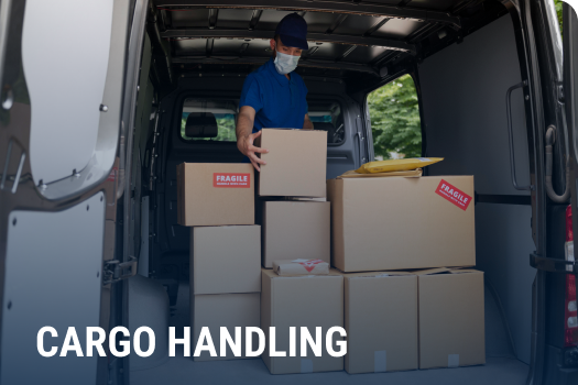 Manipulacion de carga