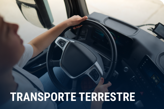 transporte terrestre