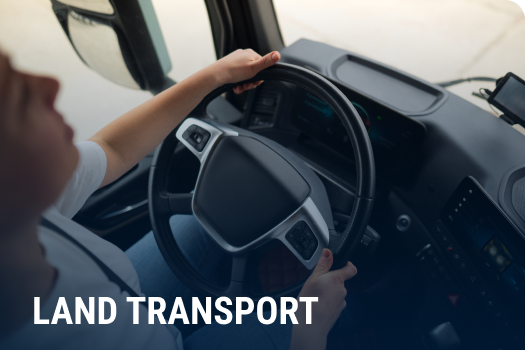 transporte terrestre